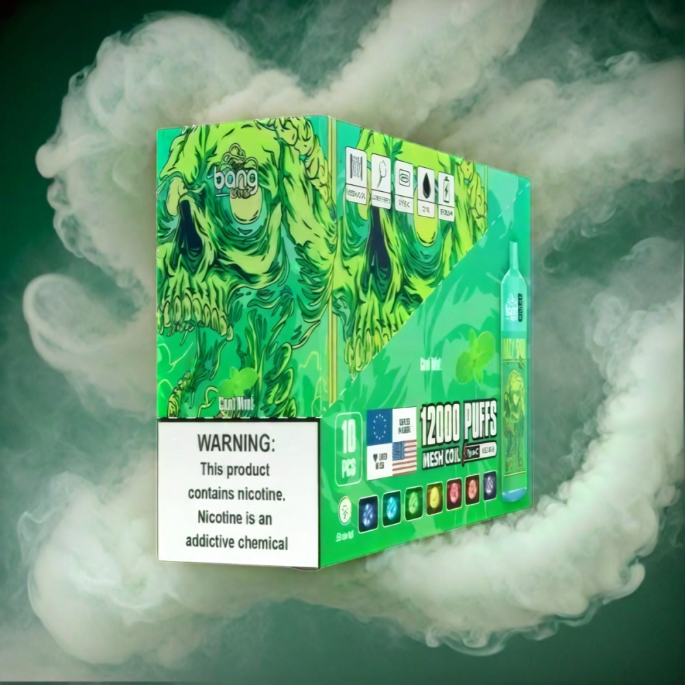 Bang Box 12000 Puffs Vape Cool Mint