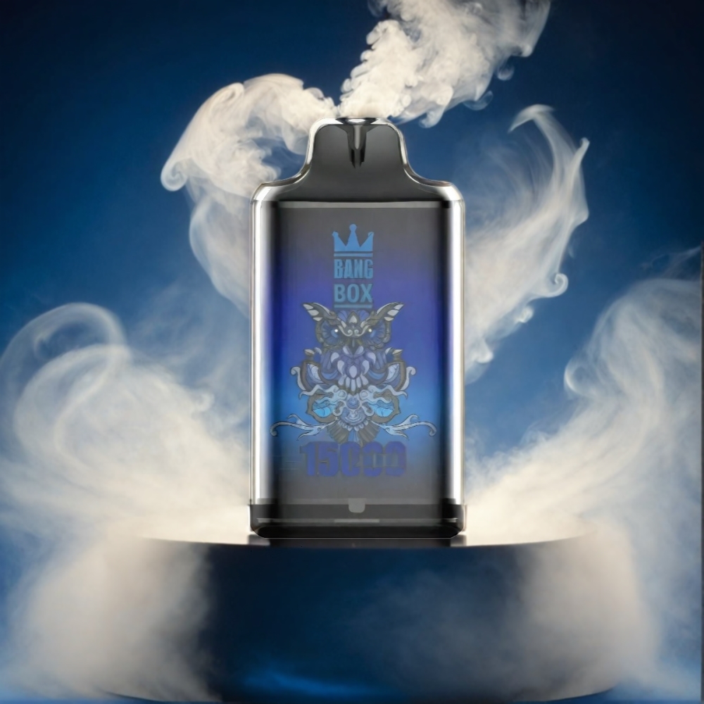 Bang Box 15000 Puffs Vape - Mr. Blue
