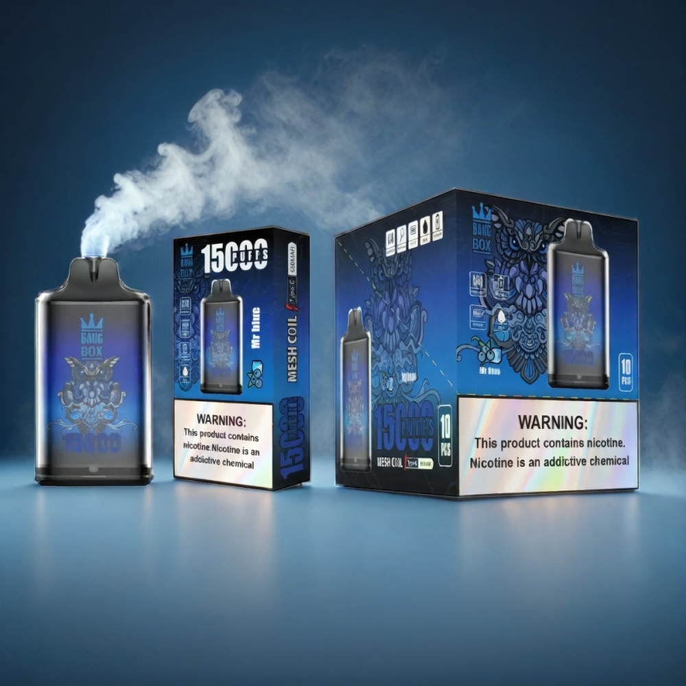 Bang Box 15000 Puffs Vape - Mr. Blue