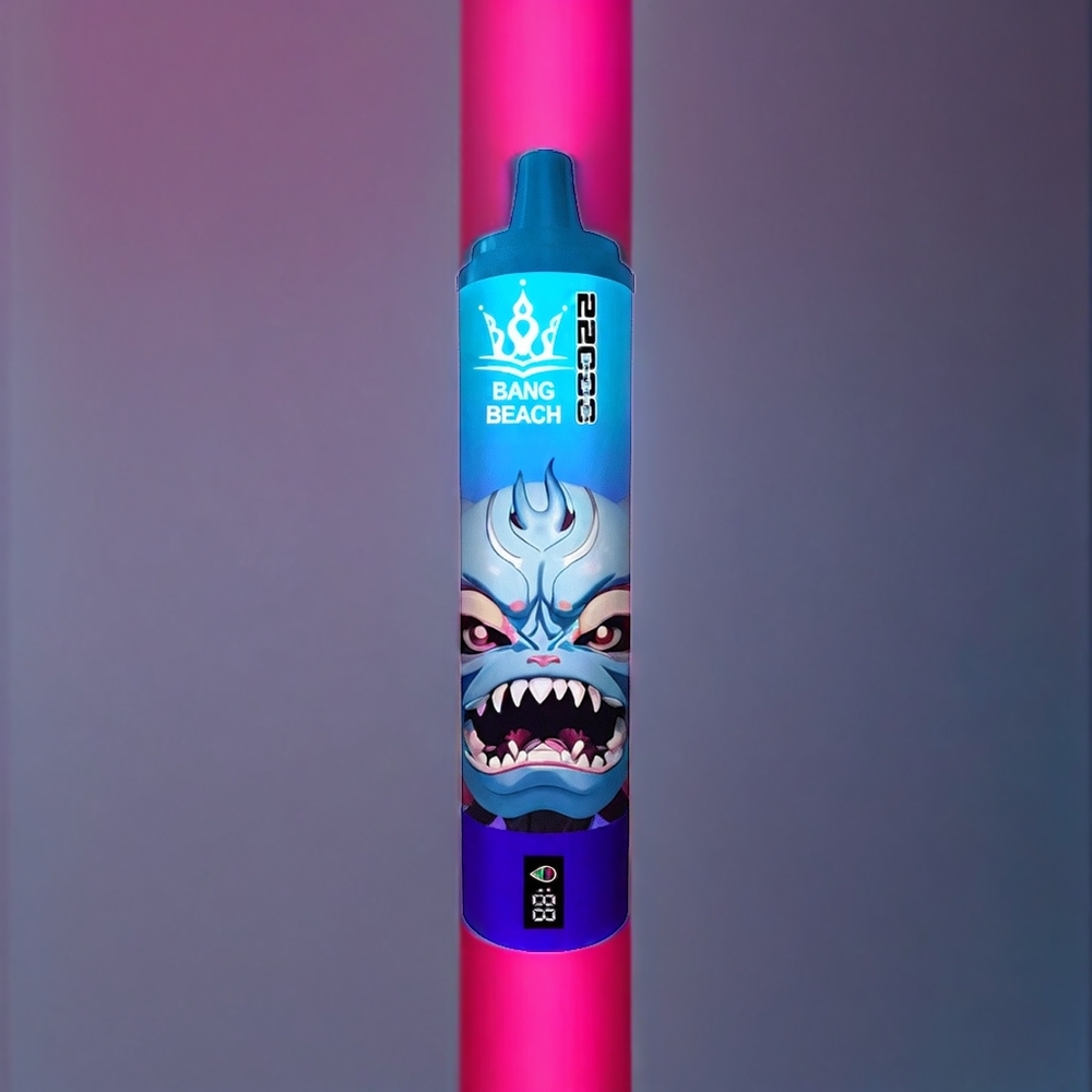 Bang Beach 22000 Puffs Disposable Vape – 36mL | 650mAh | Blueberry Raspberry | Australia Wholesale