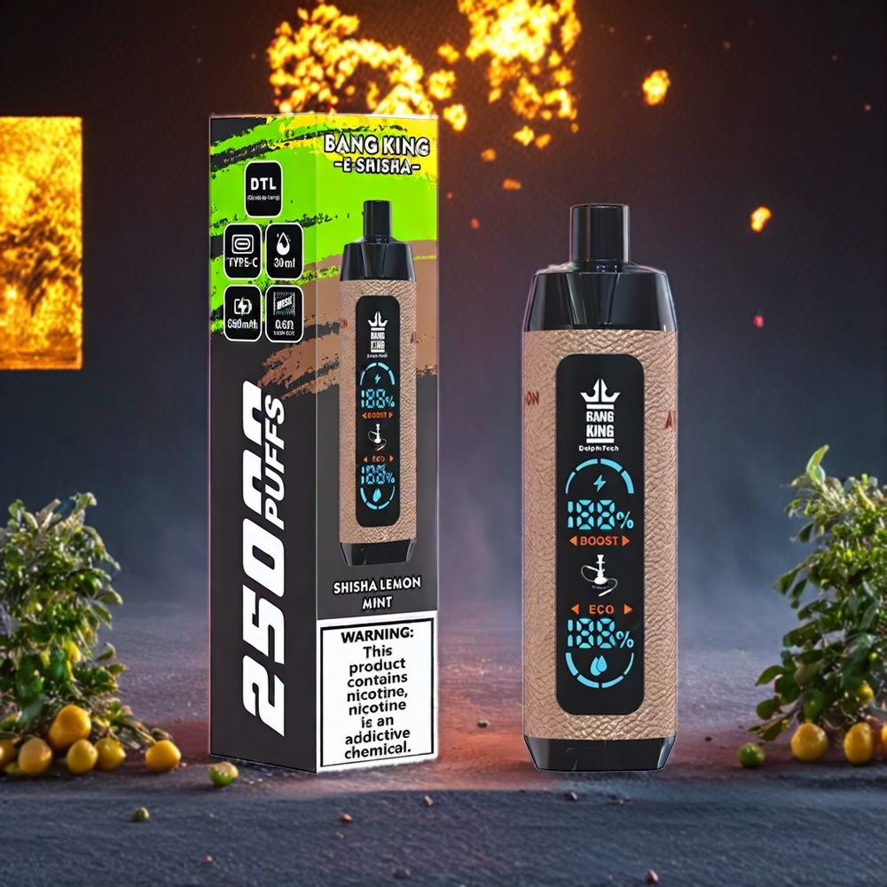 Bang King Shisha 25000 Puffs Disposable Vape – 30ml Mesh Coil | Type-C Charging | Australia Wholesale (Lemon Mint, 0%-5% Nicotine)