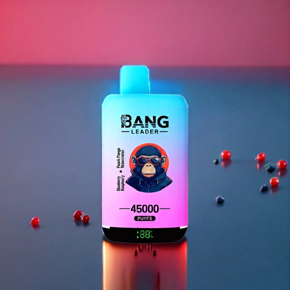 Australia Wholesale Bang Leader 45000 Puffs Disposable Vape – Dual Flavor, Smart Screen, Type-C USB (Blueberry Raspberry Peach Mango Watermelon)