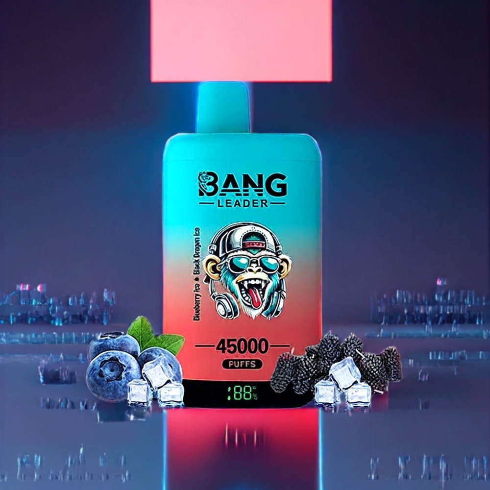 Bang Leader 45000 Puffs Disposable Vape – Dual Flavor, Smart Screen, Type-C Port | Australia Wholesale