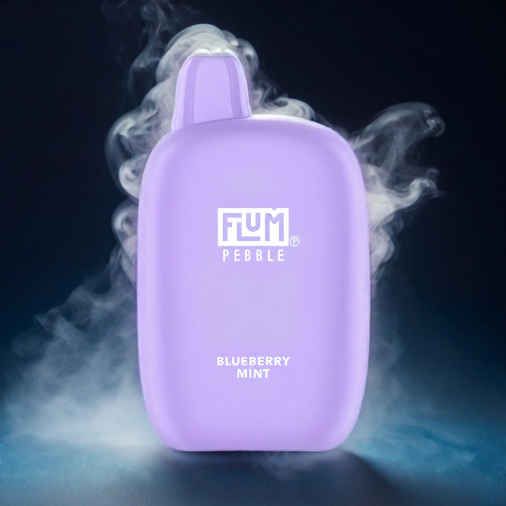 Flum Pebble 6000 Puffs Vape Blueberry Mini