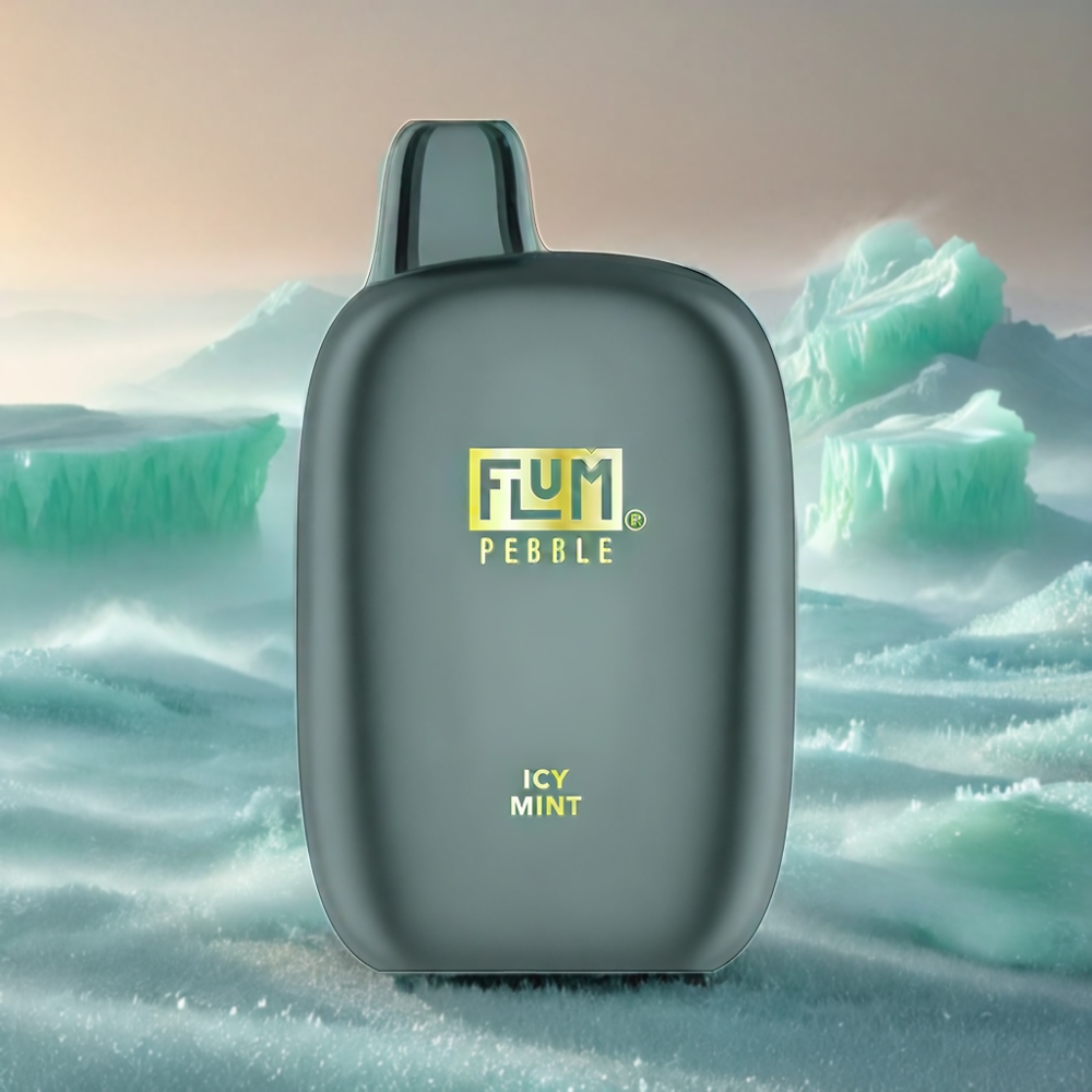 Flum Pebble 6000 Puffs Vape - Icy Mint