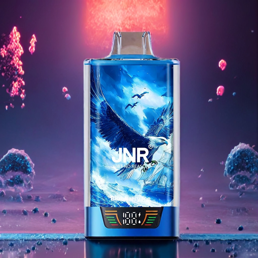 JNR Falcon Pro 28000 Australia Wholesale – 30mL E-Liquid, Dual Mesh Coil, Type-C Charging, Blueberry Ice