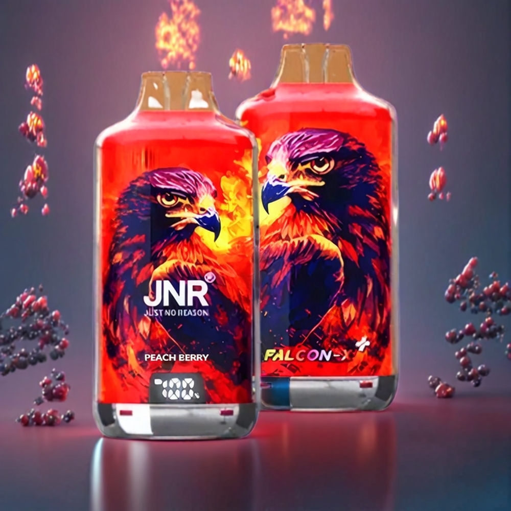JNR Falcon X⁺ 28000 Puffs Refillable Vape - Australia Wholesale (Peach Berry, 950mAh, 2 10ml E-Liquid, Type-C Charging)