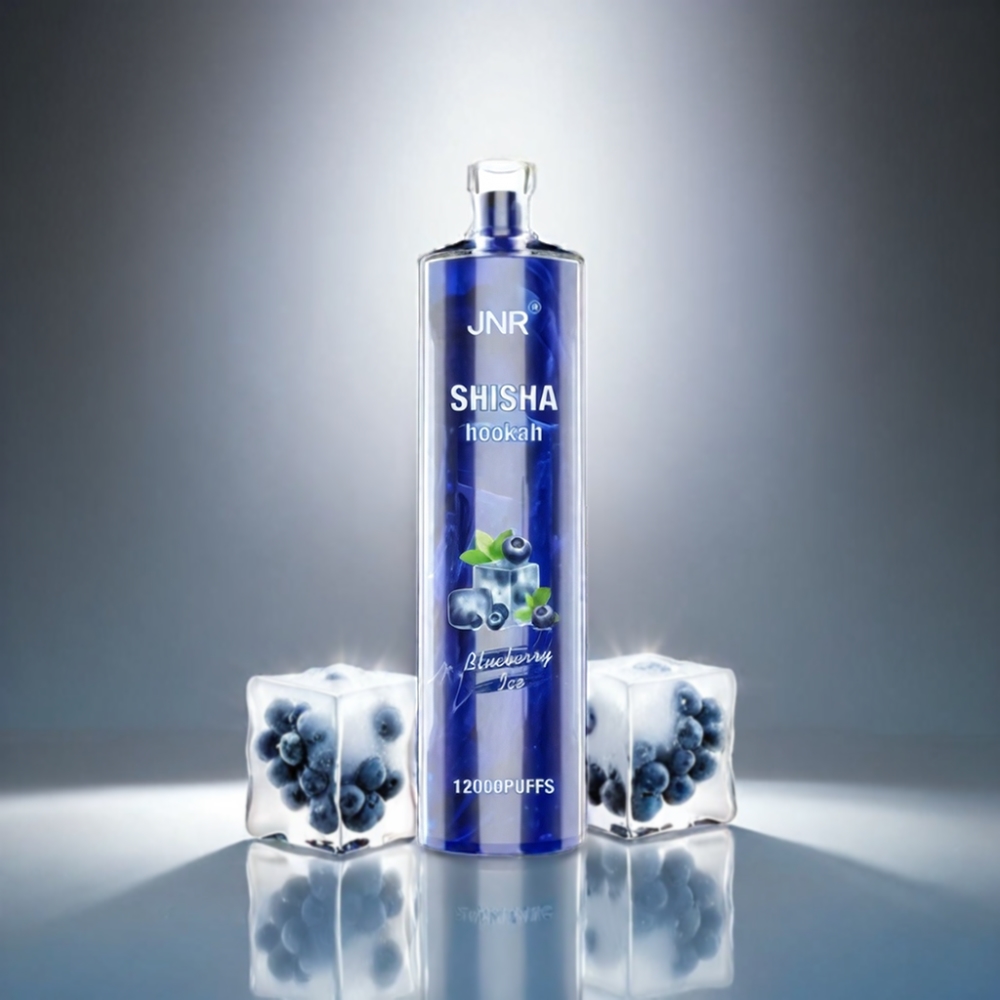 JNR Aus Blueberry Ice 12000 Puffs Vape