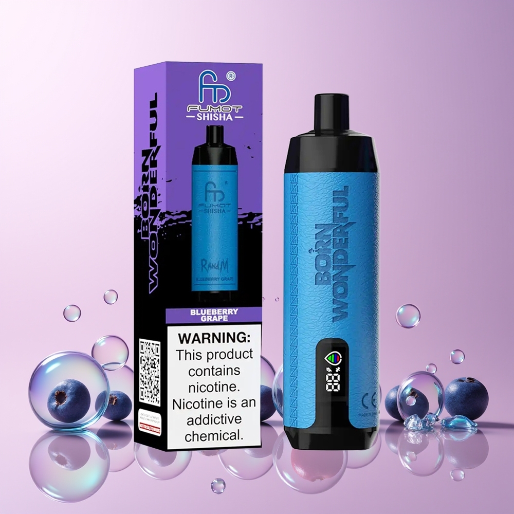 RandM Fumot Shisha 10000 Puffs Disposable Vape – 18mL Prefilled, 850mAh Battery (Blueberry Grape) – Australia Wholesale