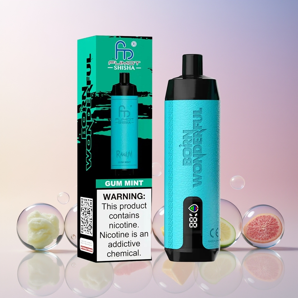 RandM Fumot Shisha 10000 Puffs Disposable Vape – 18ml Prefilled, 850mAh Battery, Type-C Port (Gum Mint) – Australia Wholesale