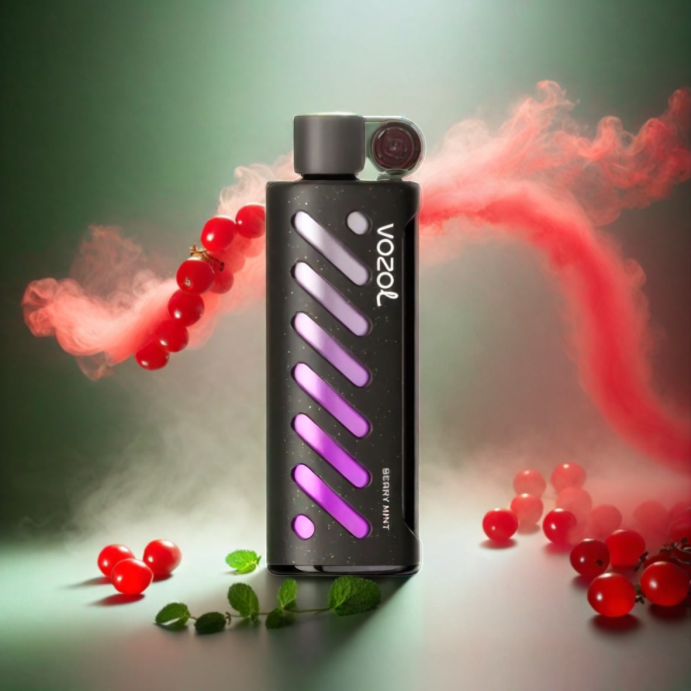 VOZOL Gear Shisha 25000 Puffs Vape Berry Mint