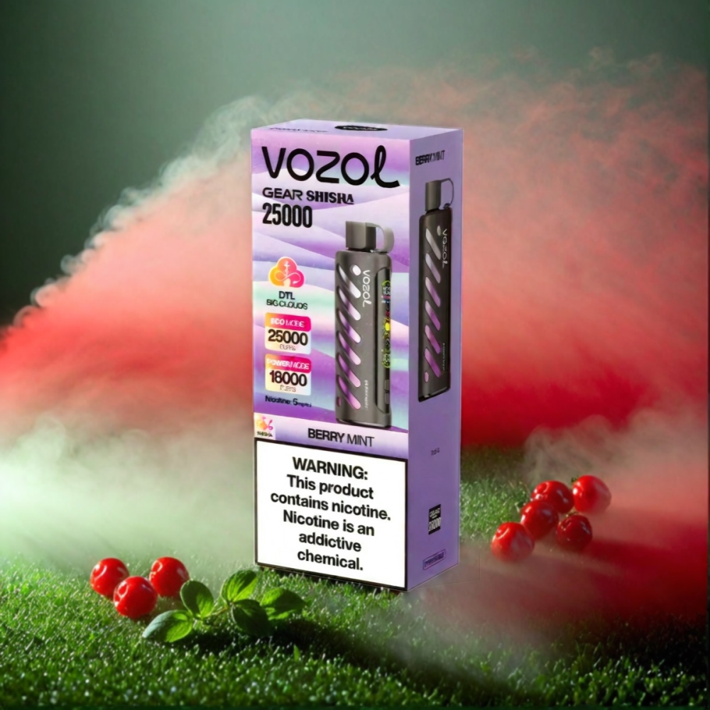 VOZOL Gear Shisha 25000 Puffs Vape Berry Mint